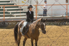 PC4HFair2015_6066_notforcopy