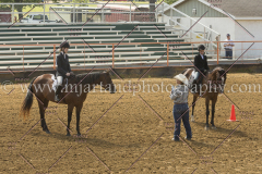 PC4HFair2015_6081_notforcopy