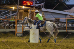 PC4HFair2015_9194_notforcopy