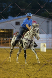 PC4HFair2015_9209_notforcopy
