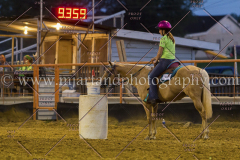 PC4HFair2015_9212_notforcopy