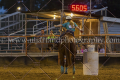 PC4HFair2015_9221_notforcopy