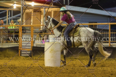 PC4HFair2015_9269_notforcopy