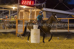 PC4HFair2015_9315_notforcopy