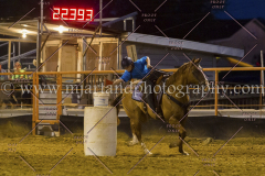 PC4HFair2015_9327_notforcopy
