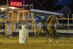 PC4HFair2015_9328_notforcopy