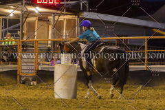 PC4HFair2015_9344_notforcopy