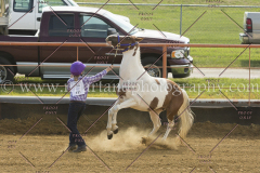 PC4HFair2015_4799_notforcopy