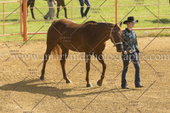 PC4HFair2015_4852_notforcopy