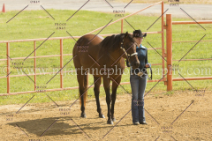 PC4HFair2015_4862_notforcopy