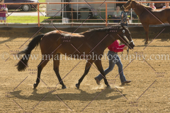 PC4HFair2015_4893_notforcopy