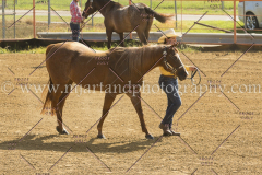 PC4HFair2015_4900_notforcopy