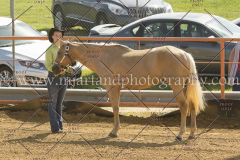 PC4HFair2015_4929_notforcopy