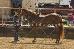 PC4HFair2015_4931_notforcopy