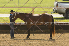 PC4HFair2015_4933_notforcopy