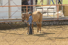 PC4HFair2015_4977_notforcopy