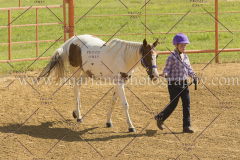 PC4HFair2015_4985_notforcopy