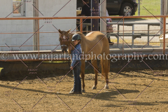 PC4HFair2015_5000_notforcopy