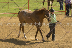 PC4HFair2015_5096_notforcopy