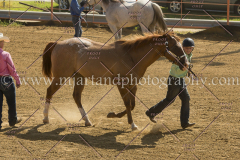 PC4HFair2015_5099_notforcopy