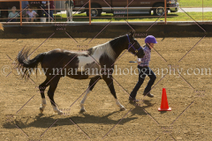 PC4HFair2015_5118_notforcopy