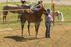 PC4HFair2015_5122_notforcopy