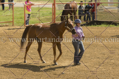 PC4HFair2015_5128_notforcopy