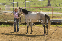 PC4HFair2015_5135_notforcopy