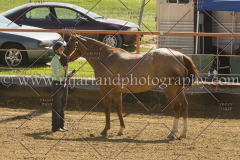 PC4HFair2015_5149_notforcopy
