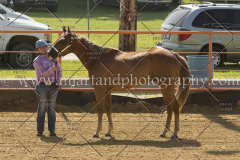 PC4HFair2015_5150_notforcopy