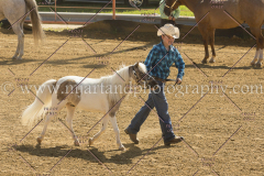 PC4HFair2015_5164_notforcopy