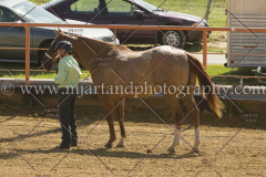PC4HFair2015_5170_notforcopy