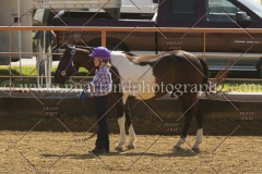 PC4HFair2015_5187_notforcopy