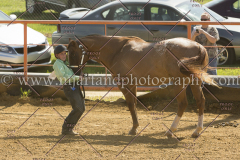 PC4HFair2015_5203_notforcopy