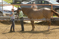 PC4HFair2015_5211_notforcopy