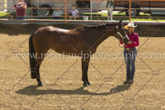 PC4HFair2015_5229_notforcopy