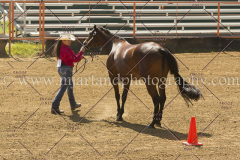 PC4HFair2015_5243_notforcopy