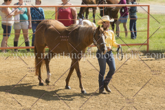 PC4HFair2015_5250_notforcopy