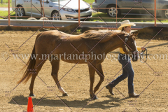 PC4HFair2015_5255_notforcopy