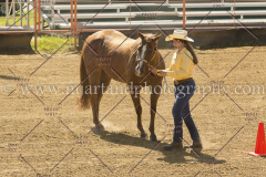 PC4HFair2015_5268_notforcopy