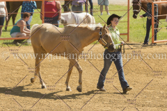 PC4HFair2015_5275_notforcopy