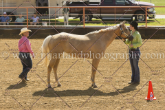 PC4HFair2015_5286_notforcopy