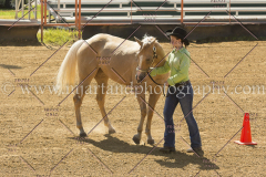 PC4HFair2015_5290_notforcopy