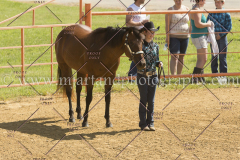 PC4HFair2015_5296_notforcopy