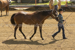 PC4HFair2015_5306_notforcopy