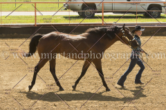 PC4HFair2015_5316_notforcopy