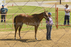 PC4HFair2015_5329_notforcopy