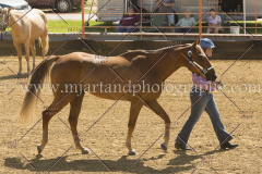 PC4HFair2015_5337_notforcopy