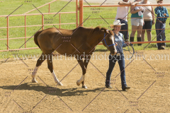 PC4HFair2015_5356_notforcopy