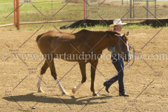 PC4HFair2015_5361_notforcopy